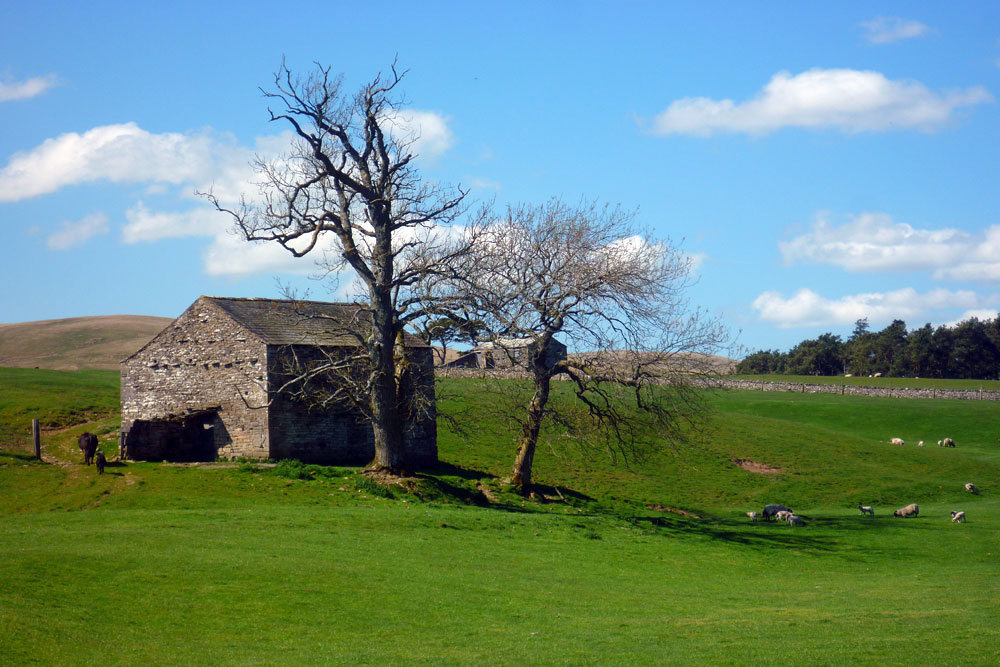field house